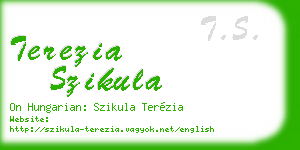 terezia szikula business card